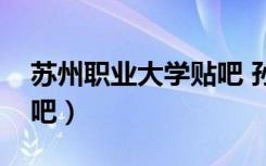苏州职业大学贴吧 孙奕姝（苏州职业大学贴吧）