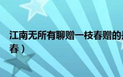 江南无所有聊赠一枝春赠的是哪种花（江南无所有聊赠一枝春）