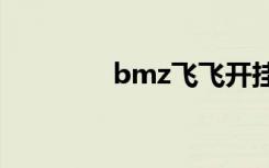 bmz飞飞开挂（飞飞外挂）