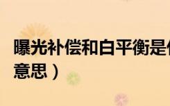 曝光补偿和白平衡是什么意思（白平衡是什么意思）