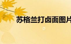 苏格兰打卤面图片（苏格兰打卤面）