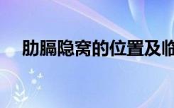 肋膈隐窝的位置及临床意义（肋膈隐窝）