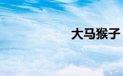 大马猴子（大马猴）