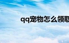 qq宠物怎么领取（qq宠物送信）