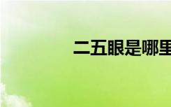 二五眼是哪里话（二五眼）