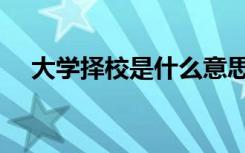 大学择校是什么意思（择校是什么意思）