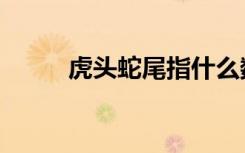 虎头蛇尾指什么数字（虎头蛇尾）
