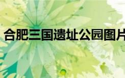 合肥三国遗址公园图片（合肥三国遗址公园）