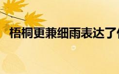 梧桐更兼细雨表达了什么（梧桐更兼细雨）