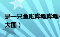 是一只鱼啦哔哩哔哩个人空间主页（空间主页大图）