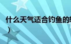 什么天气适合钓鱼的软件（什么天气适合钓鱼）