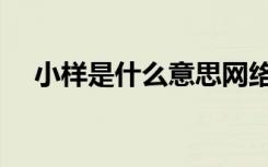 小样是什么意思网络（小样是什么意思）