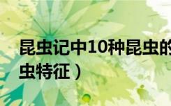 昆虫记中10种昆虫的特点（昆虫记里20种昆虫特征）