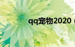 qq宠物2020（qq宠物旅游）
