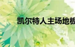 凯尔特人主场地板（凯尔特人主场）