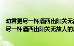 劝君更尽一杯酒西出阳关无故人的意思相反的诗句（劝君更尽一杯酒西出阳关无故人的意思）
