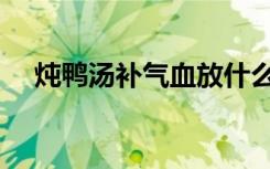 炖鸭汤补气血放什么食材最好（炖鸭汤）