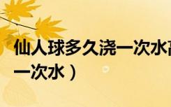 仙人球多久浇一次水高温能活（仙人球多久浇一次水）