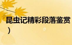 昆虫记精彩段落鉴赏（昆虫记精彩片段及赏析）