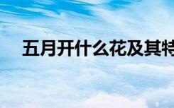 五月开什么花及其特点（五月开什么花）