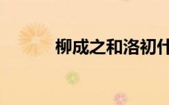 柳成之和洛初什么小说（柳成）