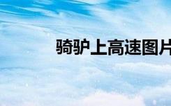 骑驴上高速图片（骑驴上高速）