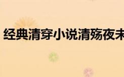 经典清穿小说清殇夜未央（经典的清穿小说）