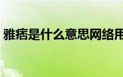 雅痞是什么意思网络用语（雅痞是什么意思）