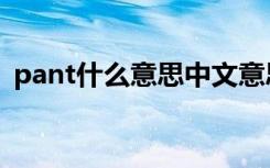 pant什么意思中文意思（pant是什么意思）