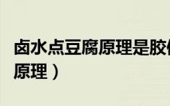 卤水点豆腐原理是胶体的聚沉吗（卤水点豆腐原理）