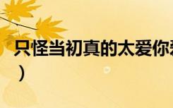 只怪当初真的太爱你爱到心碎（爱你爱到心碎）