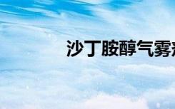 沙丁胺醇气雾剂（沙丁胺醇）