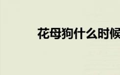 花母狗什么时候上映（花 母狗）