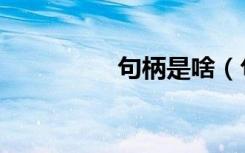 句柄是啥（句柄是什么）