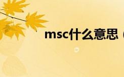 msc什么意思（ms什么意思）
