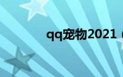 qq宠物2021（qq宠物打工）