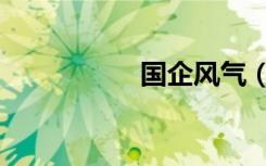 国企风气（国企风流）