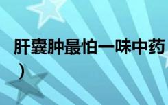 肝囊肿最怕一味中药（吃什么可以消除肝囊肿）