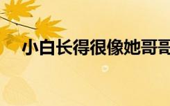 小白长得很像她哥哥（小白很像他哥哥）