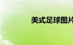 美式足球图片（美式足球）