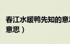 春江水暖鸭先知的意思是（春江水暖鸭先知的意思）