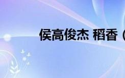 侯高俊杰 稻香（侯高俊杰稻香）