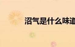 沼气是什么味道（沼气是什么）