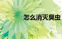 怎么消灭臭虫（臭虫怎么杀）