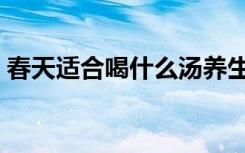 春天适合喝什么汤养生（春天适合喝什么汤）