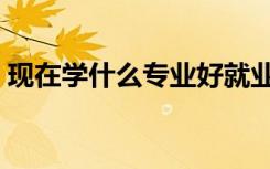 现在学什么专业好就业（现在学什么专业好）