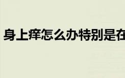 身上痒怎么办特别是在晚上（身上痒怎么办）