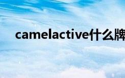 camelactive什么牌子（camel active）