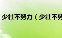 少壮不努力（少壮不努力老大徒伤悲的例子）
