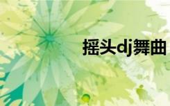 摇头dj舞曲（摇头dj站）